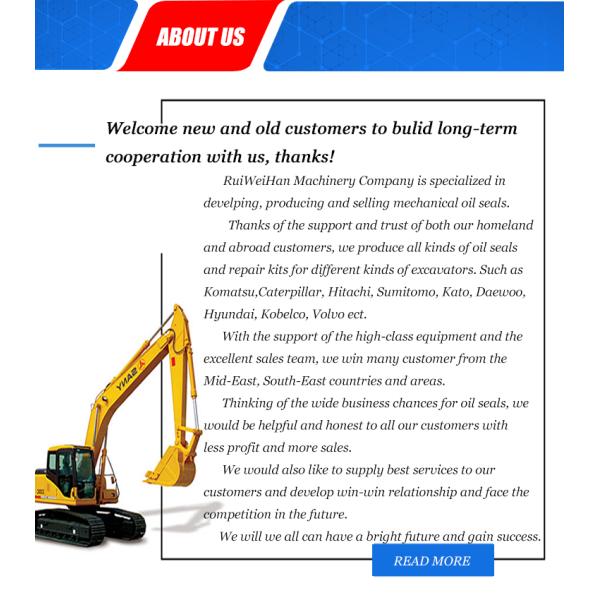 MSB Hydraulic Rock Breaker Seal Kit Hammer Msb250 Hydraulic Cylinder Piston Seal Kit