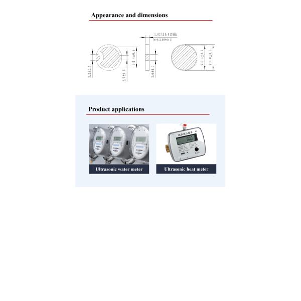 D14.0x1.01mm Piezo Disk Element Ultrasonic Piezoelectric Ceramic Disc 1MHz