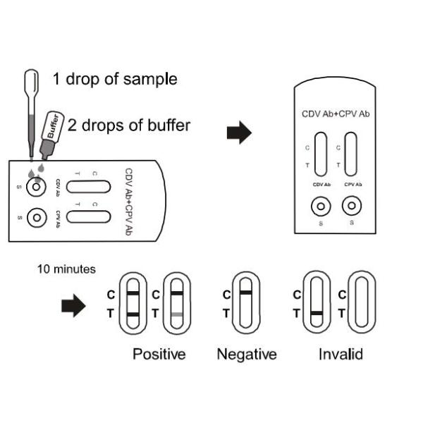 Convenient Canine CDV CPV Ag Test Kit Combined Antibody Rapid Test