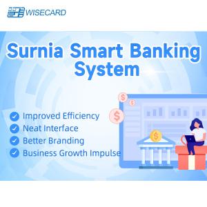 Quality Wisecard Smartbanking Web Based Structure For Secure Online Banking Transactions for sale