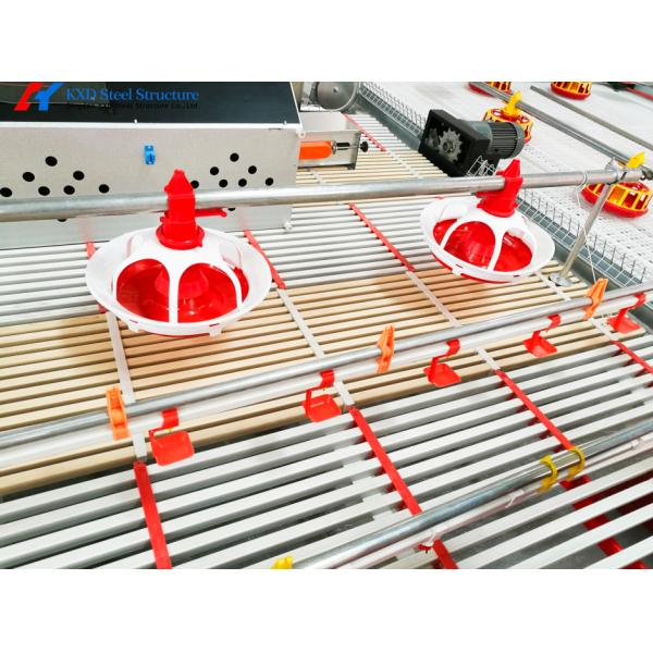 Custom H Type Broiler Rearing Cage , Full Automatic Broiler Cage System