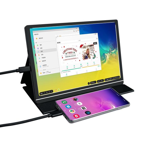 Buy Ultra Slim 300cd/M2 Brightness USB Type C Port 10.1 Inch Portable Monitor With HDMI at wholesale prices