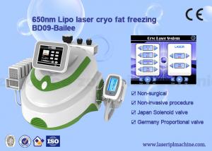 China Cryolipolysis + lipo laser (8 laser pads)  + cavitation +  rf vacuum weight loss machine on sale
