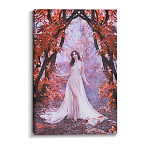 Quality Custom Framed Canvas Prints With Inkjet Cotton Canvas Available In Standard And Custom Sizes for sale