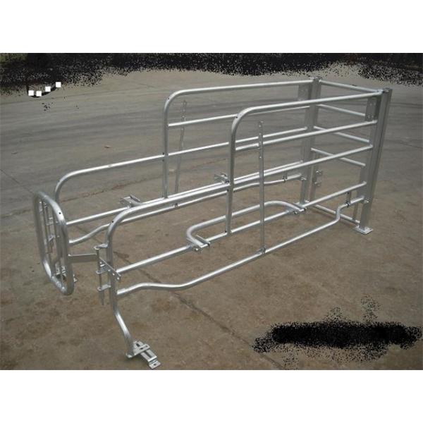 cheap price steel pig farrwoing crate for sale galvanized stall for pig