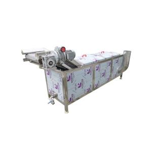 Quality 300kg/h 2.95kw Raspberry Vegetable Blanching Machine for sale