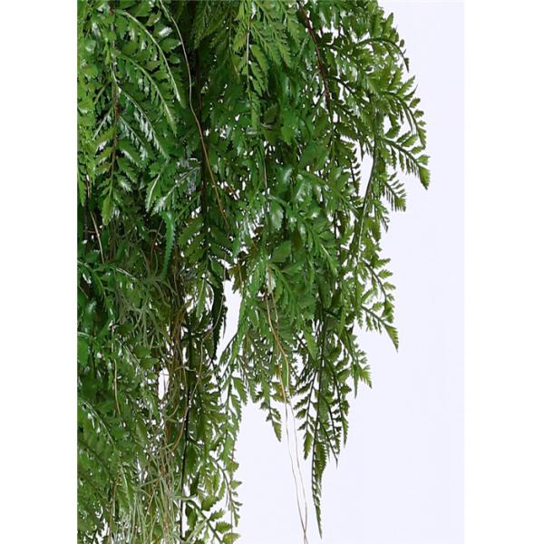 Realistic Artificial Hanging Plants Ferns 55CM Strong UV Resistance Ideal Assortment