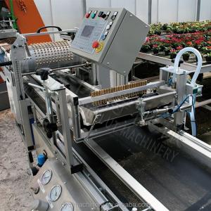 Quality Hydroponic Sponge Seed Planter Line for Seeding Cucumbers and Squash Automatically for sale