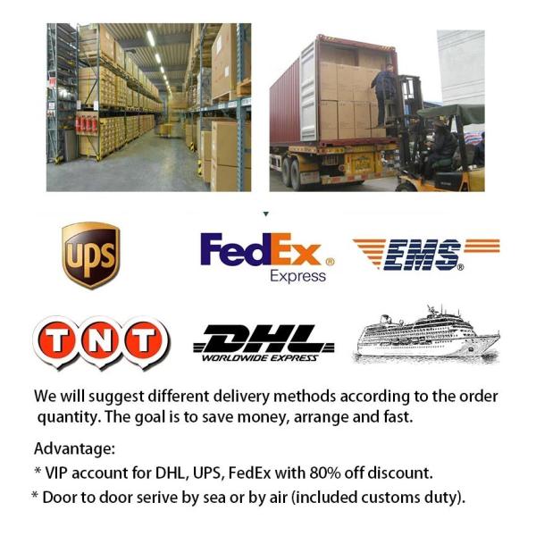 30kg/40kg Bench Scale with LED Display and 1g Accuracy ABS Material OEM/ODM Supported Customized Support ODM