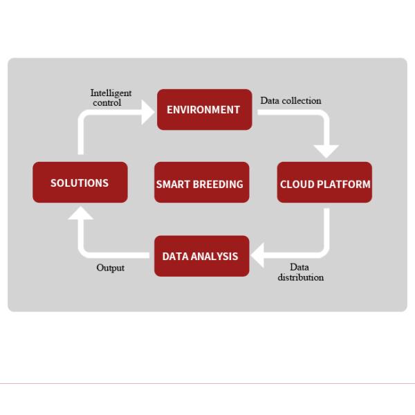 Smart Livestock Project LTE 4G Gateway With DI DO For IOT Router Data Monitoring