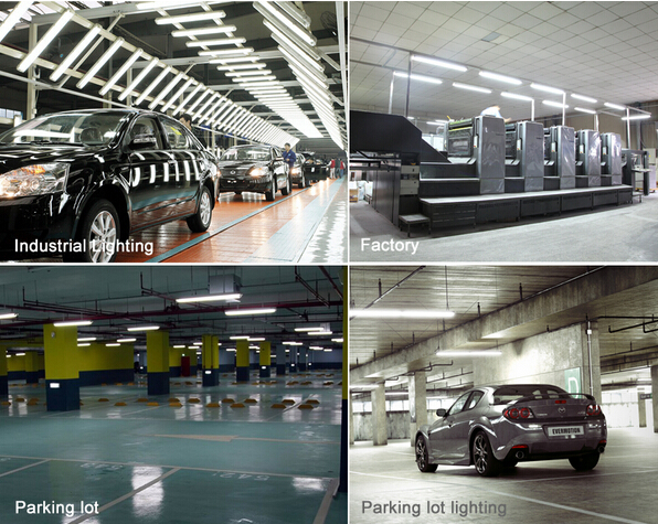 Professional High luminous tri - proof led light for seaside building , mine