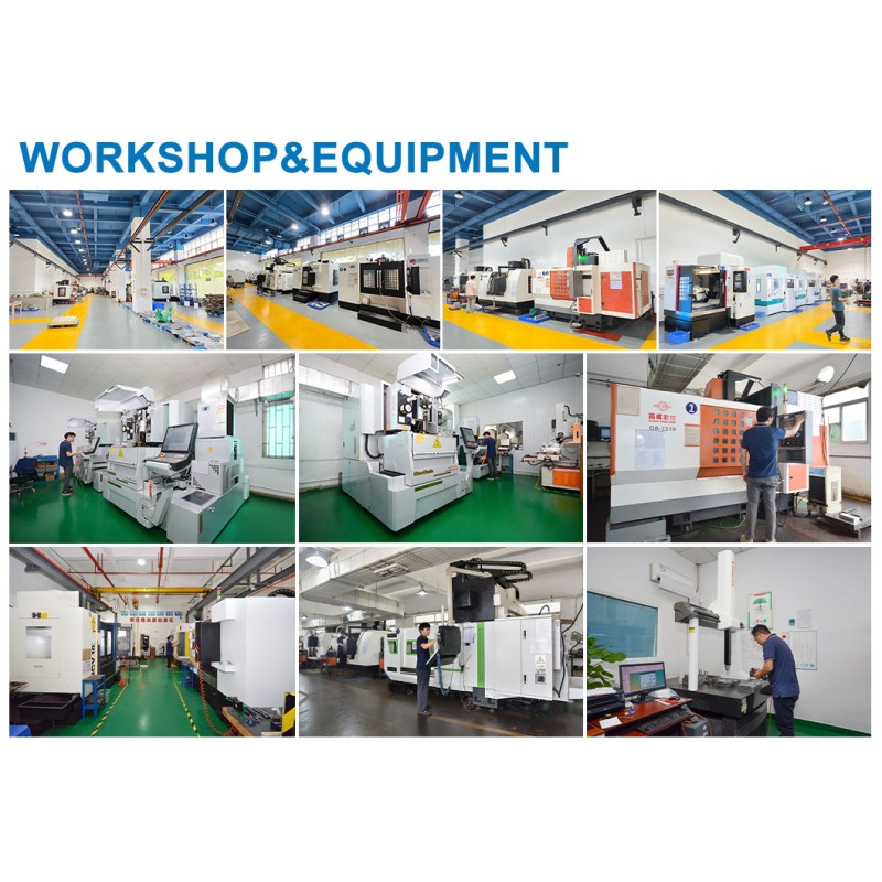 PP Plastic Cake Box Container Fully Automatic Three Station Thermoforming Fruit Packaging Mold
