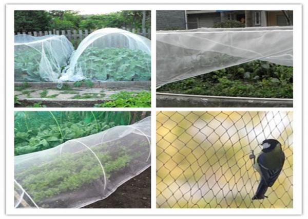 Garden Fly Screen Mesh Hdpe Plastic 20/30/40/50 Mesh Anti Insect Net