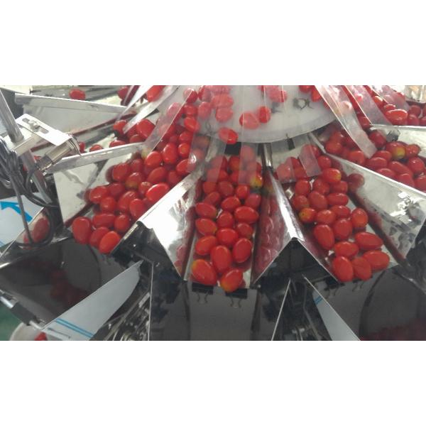 SS304 Plastic Box Packing Machine