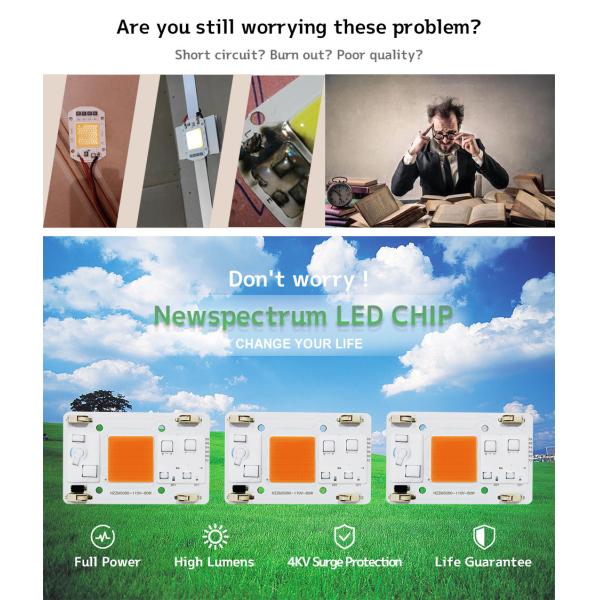 Solderless Led Lamp Beads AC COB 80W Integrated Projection Light Chip