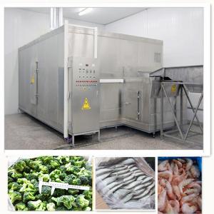 China 500kg/H Frozen French Fries Machine Tunnel Refrigeration SUS304 on sale