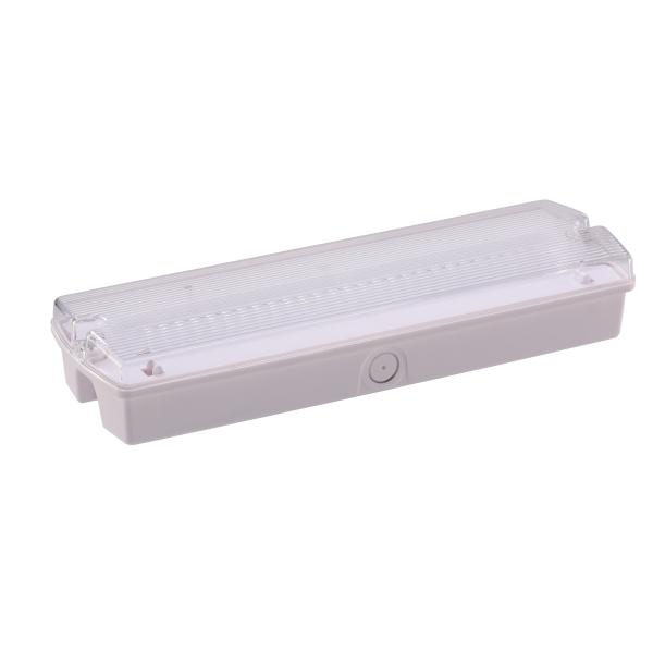 Self testing LED Emergency bulkhead ,CE SAA approved ,battery changeable,3 hours duration