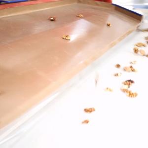 2 Tons Automatic Feeding Walnut Shelling Machine Featured Kernel Shell