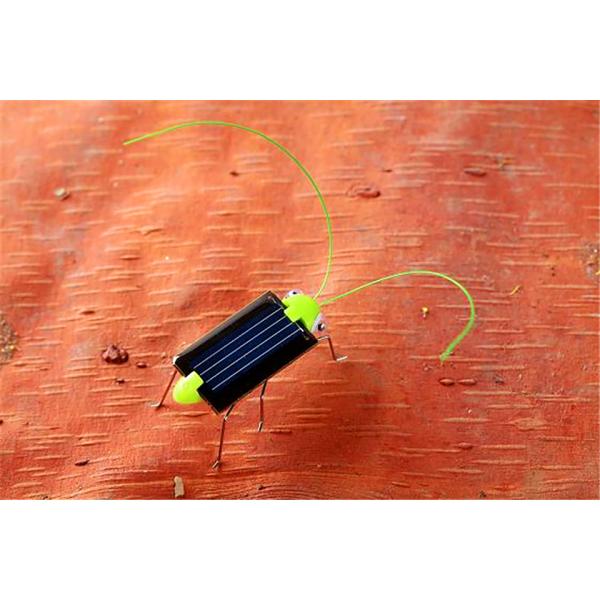 Educational Mini Solar Toys Plastic Locust Solar Powered Grasshopper Customized