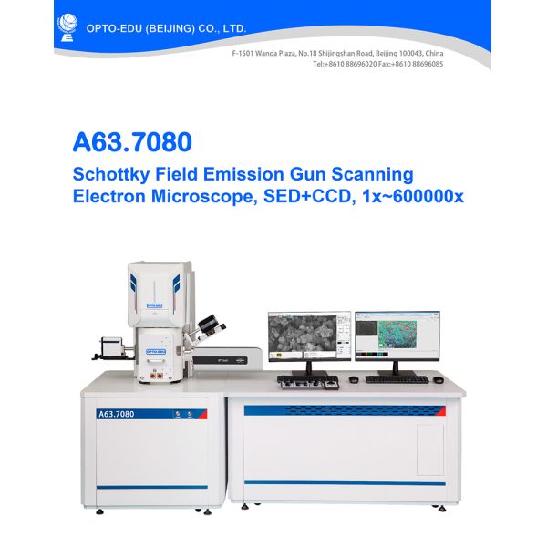 8x-800000x Emission Scanning Electron Microscope Schottky Gun A63.7080 Std Feg Sem