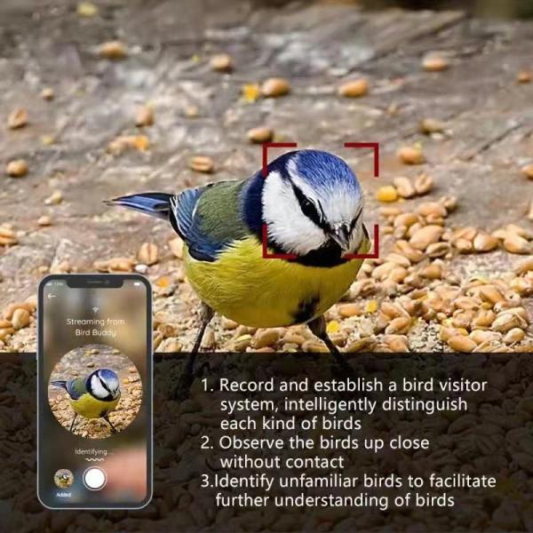 Smart AI Wireless Wildlife Bird Feeder Camera Multi Purpose 1080HD Version