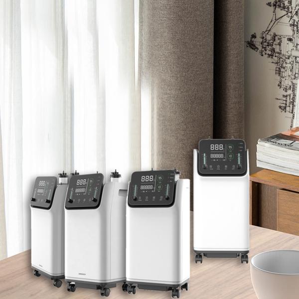 ODM OEM 10L Medical Oxygen Concentrator As Hyperbaric Oxygen Chamber