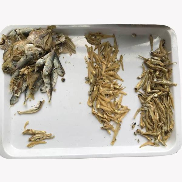 CCD Seafood Color Sorting Machine Stainless Steel Seafood Color Sorter