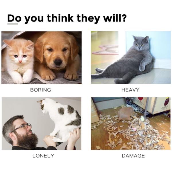 Portable Collapsible 2 Way Mesh Cat Tunnel