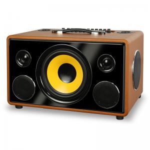 Quality 80W Portable Bluetooth Speaker 45Hz - 20KHz With Handle 2 Microphone for sale