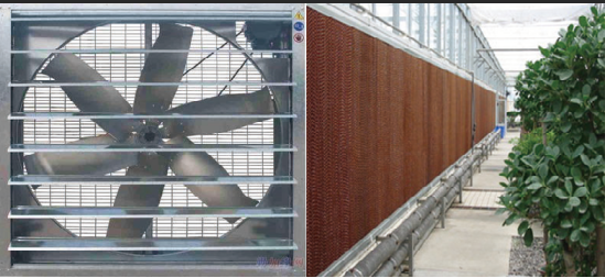 Galvanized Frame Multi Span Greenhouse With Hydroponic Growing Systems