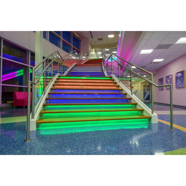 LEDCORP RGBWCW(5in1) Strip 60LEDs/m single line IP68