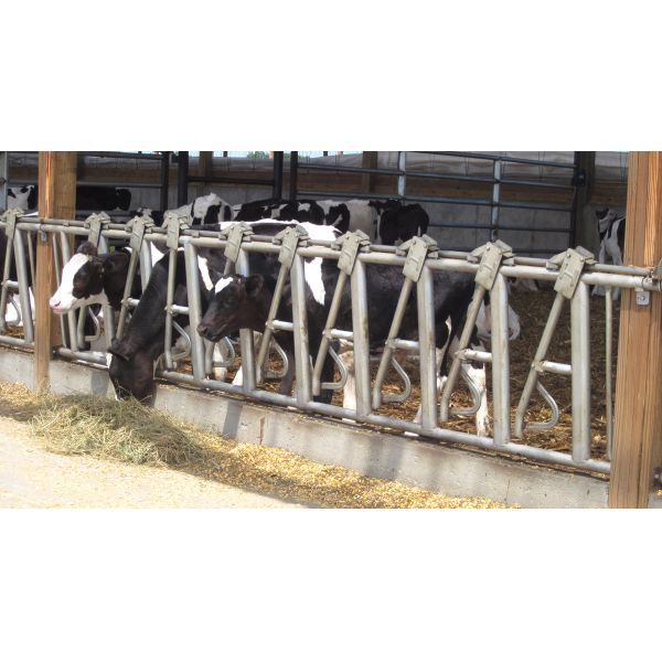 Steel Per Ton Two Storey Agricultural Prefab House with ISO9001 2008/CE/BV Certificate