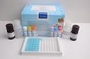 Buy Portable Elisa Microplate Reader With Large LCD Display at wholesale prices