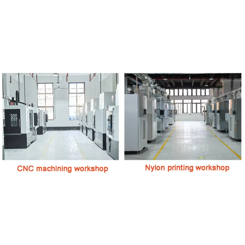 SLS/SLA/Fdm 3D Printer Rapid Model Service Customized High-Tech 3D Printing Service