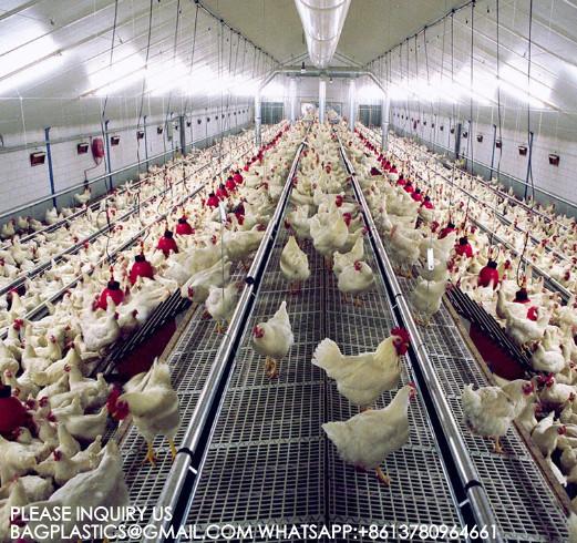 Buy Spring Auger Feed Pan 0.75kw Automated Poultry Feeding System Poultry Spring Auger Feed Pan at wholesale prices