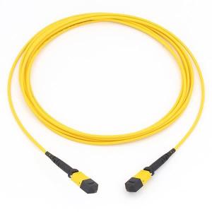 10G 40G MTP To MTP Cable OM4 Fiber Patch Cord Singlemode / Multimode Simplex
