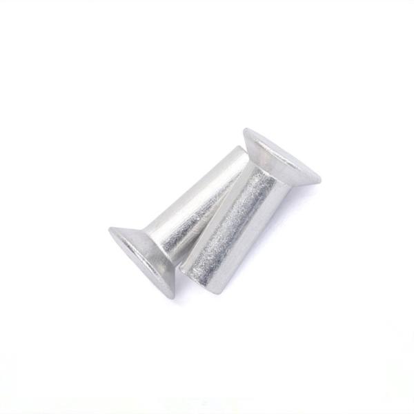 Buy Aluminum Alloy Flush Mount Solid Rivets Mushroom Head Rivets  Raside Countersunk Head Solid Rivet at wholesale prices