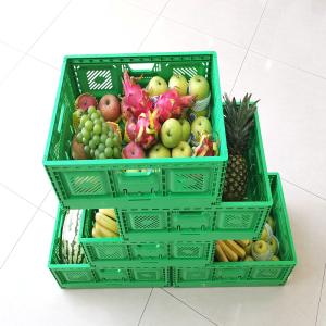 Quality Reusable Foldable Mesh Style Storage Container for Harvesting Crates Size 600*400*52mm for sale