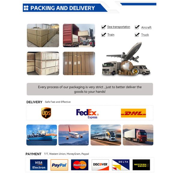 5 Axis CAD CAM Dental Milling Machine with 10-Tool Capacity 220-230V and One-Year Warranty