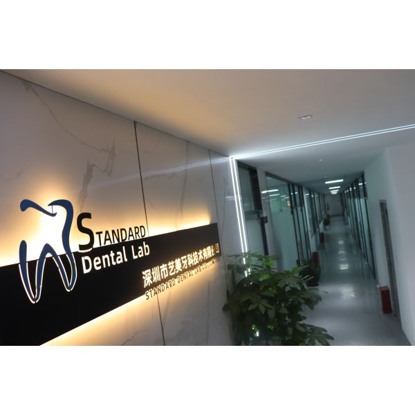 Titanium Implant Supported Dentures Precise Ivoclar Denture Over Implants ISO FDA CE