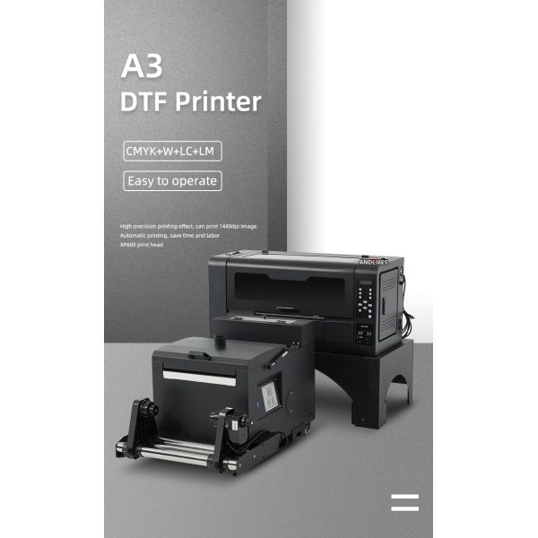 Multi Color A2 17inch DTF Printer 2 Xp600 Head Direct to Film 42cm Siaze Dtf Printer Powder Shaker Oven
