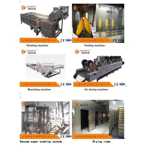 Food Grade SS304 Dried Mango Processing Machine Processing Line 380V / 220V