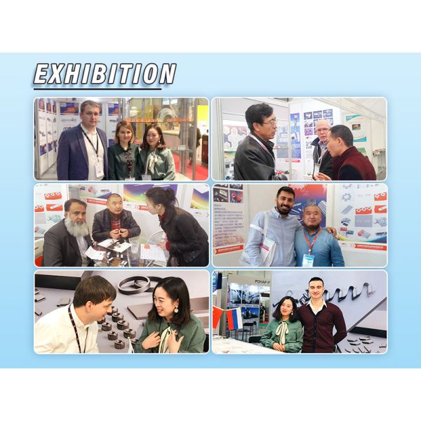 Woodworking Reversible Knife Tungsten Cemented Carbide