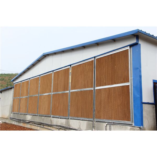 Stable Farm Rabbit Cage Automatic Drinking / Cleaning 25 Years Use Life