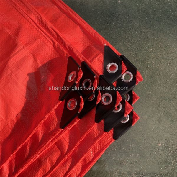 Waterproof and Tear Resistant Pe Tarpaulin 20x30 30x50 40x60 Sizes for Multiple Uses
