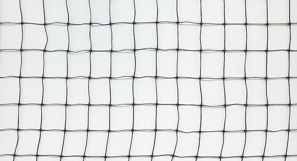 Buy Extruded Square Mesh Anti Bird Netting Hdpe For Protecting Grape at wholesale prices