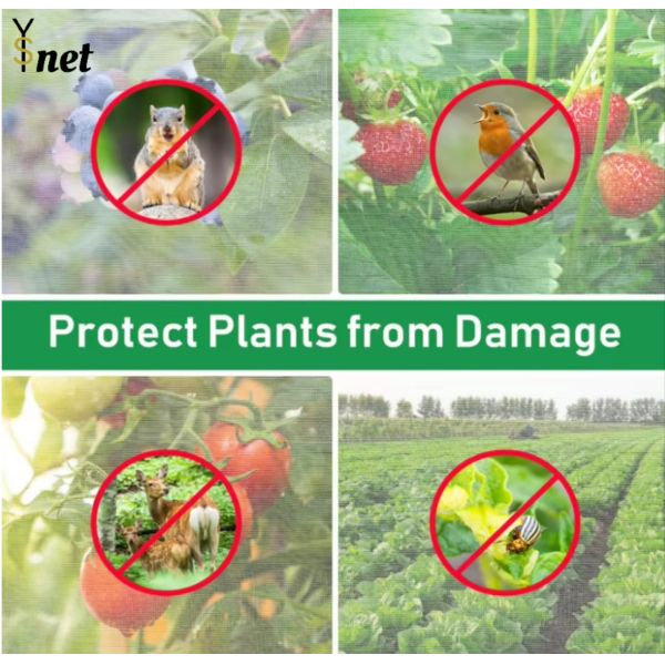 HDPE Greenhouse Bird Netting 20gsm - 30gsm Insect Netting For Garden