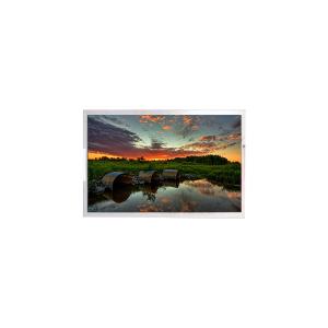 Quality 12.3 inch K123AWF3 R2 LCD Screen LCD Module for sale