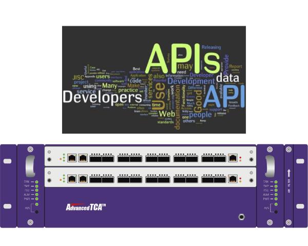 API Network Traffic Monitor Packet Data Broker Integrated Application Programmin