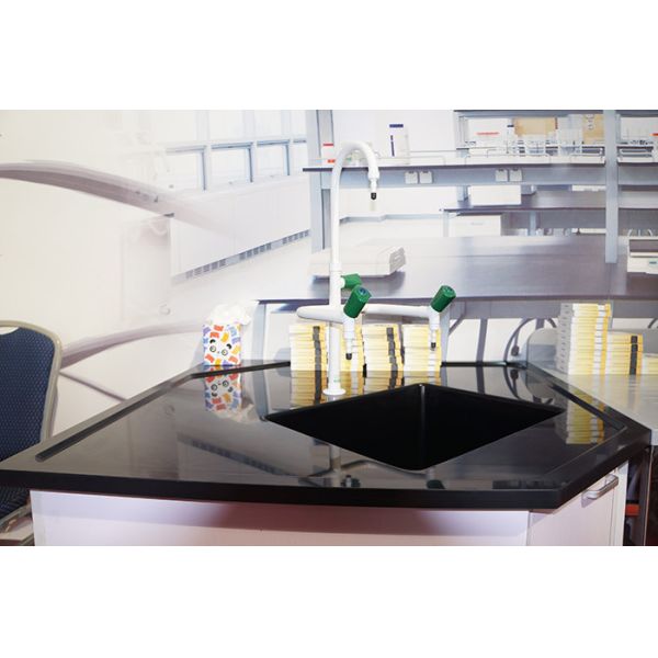 Science lab countertops / laboratory bench top with monolithic for university